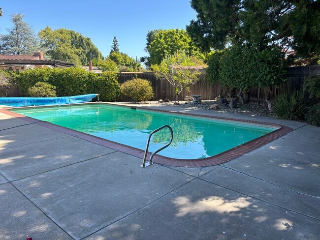 Building Photo - Gorgeous 4 bed/3 bath home in Walnut Creek