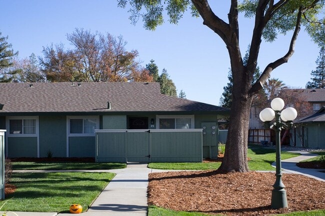 Floorplan - Cottages on 5th