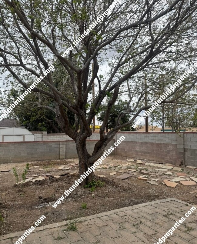 Building Photo - Beautifully remodeled Uptown location