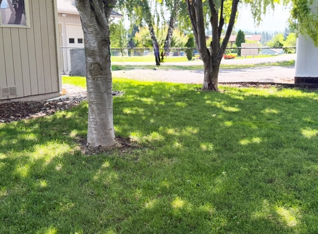 Building Photo - Beautiful Lakeside Home