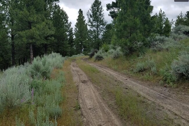 Building Photo - Cozy 1-Bed Cabin on 30 Private Acres – Incredible Views & Outdoor Access