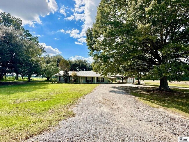 Building Photo - 1448 French Turn Rd