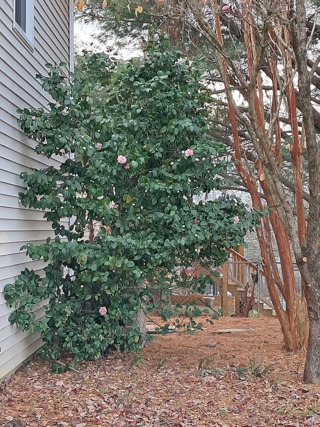 Building Photo - 114 Tomahawk Dr