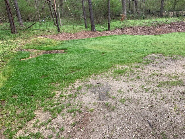 Building Photo - 600-602 Freeman Dr