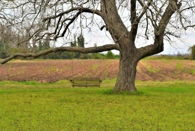 Building Photo - 2223 Co Rd 107