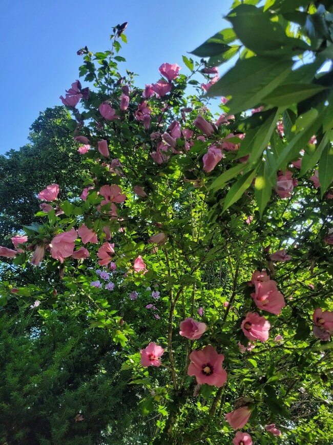 Building Photo - 15 Roosevelt Ave