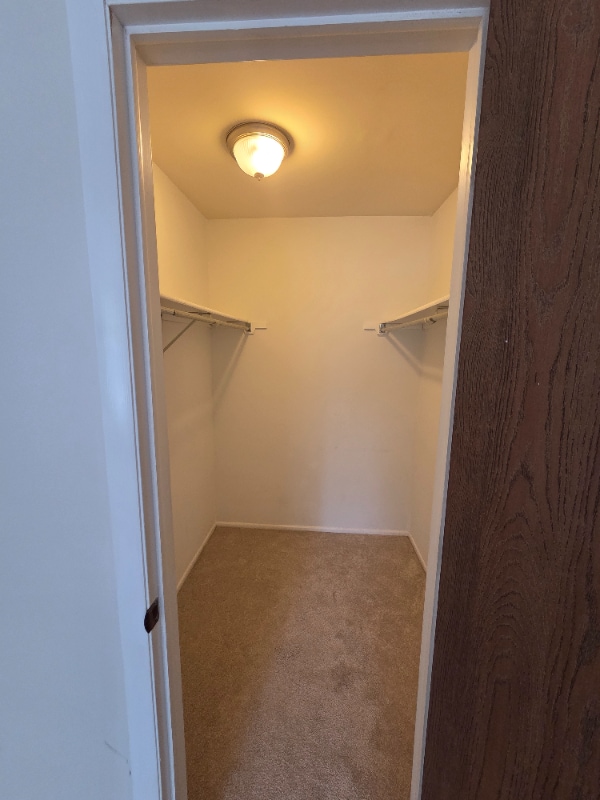 Building Photo - 603 Stone Cir Ct