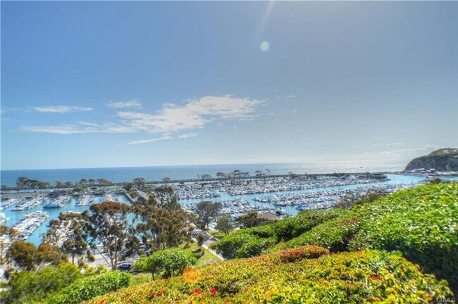 Building Photo - 33938 Alcazar Dr