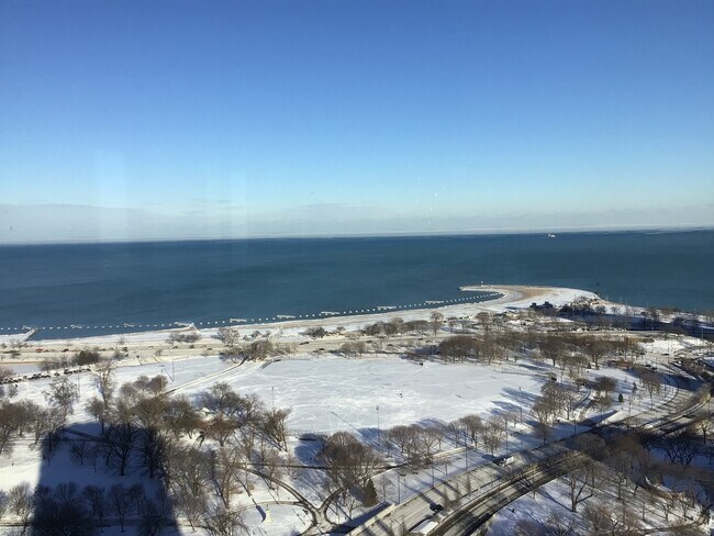 Building Photo - 1660 N La Salle Dr