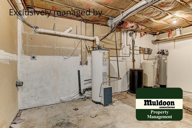 Building Photo - Stunning Black Forest Home!