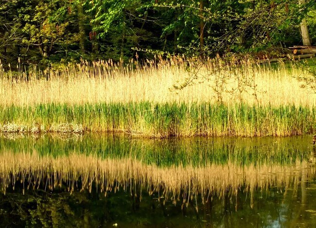 Building Photo - 10 S Mountain Pond