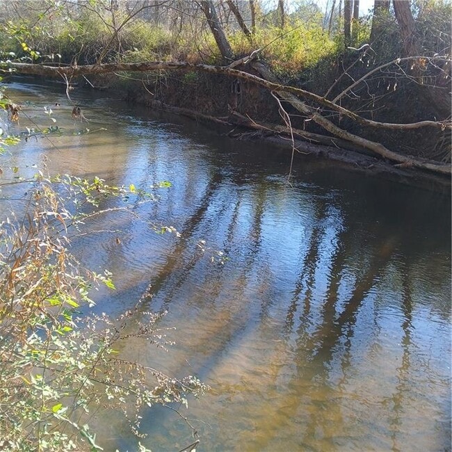 Building Photo - 241 Nacoochee Dr