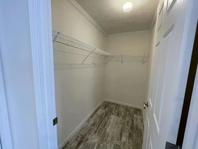 Building Photo - 5019 Coopers Hawk Pl