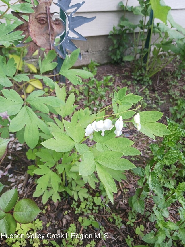 Building Photo - 540 Lakeview Terrace