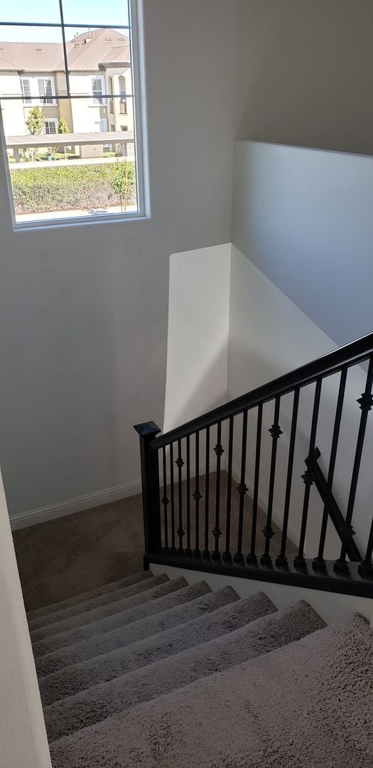Building Photo - 1179 Wild Star Wy