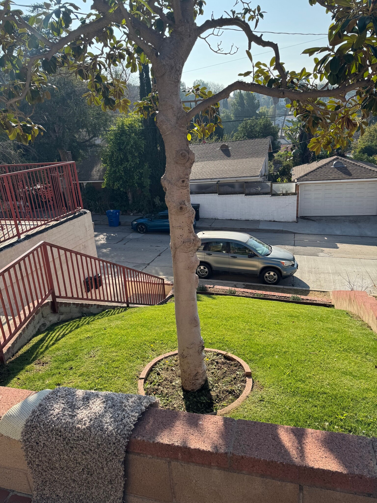 Front Yard - 6247 Oak Crest Way