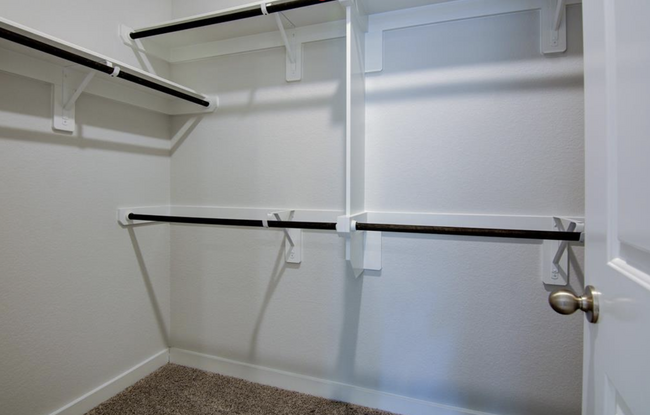 Large Closet with additional space to the right of the photo - 27028 Hidden Rock Ct