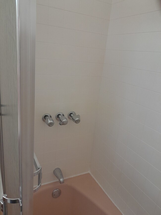 Updated Shower - 8001 Langdale St