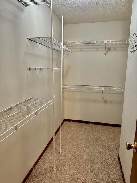 Building Photo - 3712 Arrington Dr