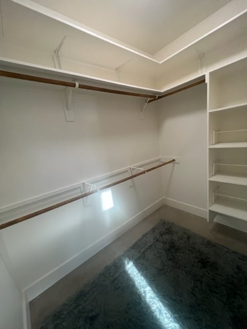 Primary Closet - 3003 Birdwood Cir