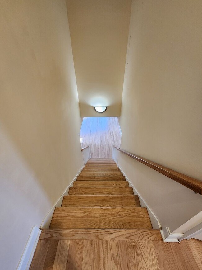 Building Photo - Black Mountain Rental-Mountain Views