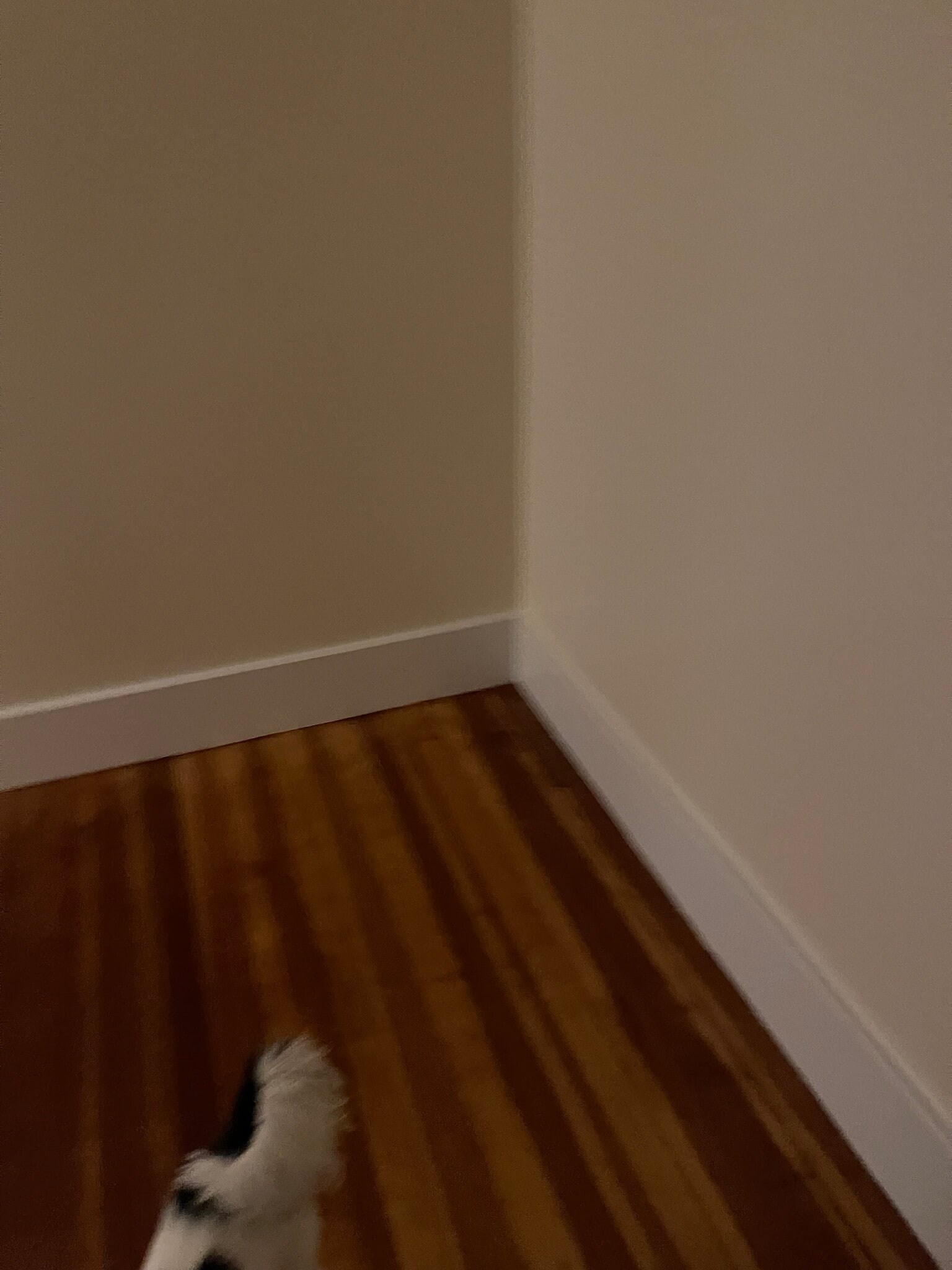 Building Photo - 183 North St