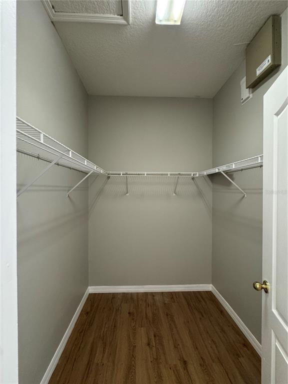 Building Photo - 559 Hiawatha Palm Pl