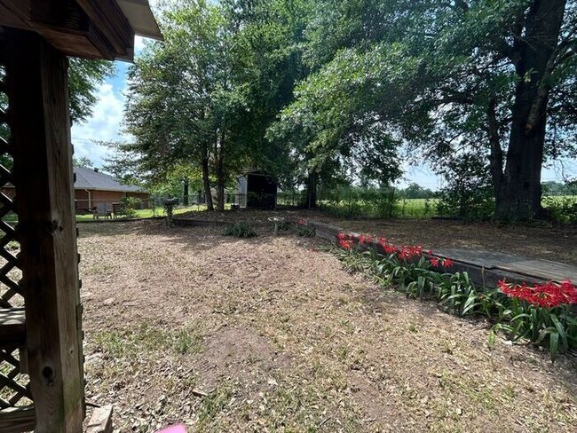 Building Photo - Lakeside Dream Home: Fully Remodeled 4BD/2BA Near Loop 323