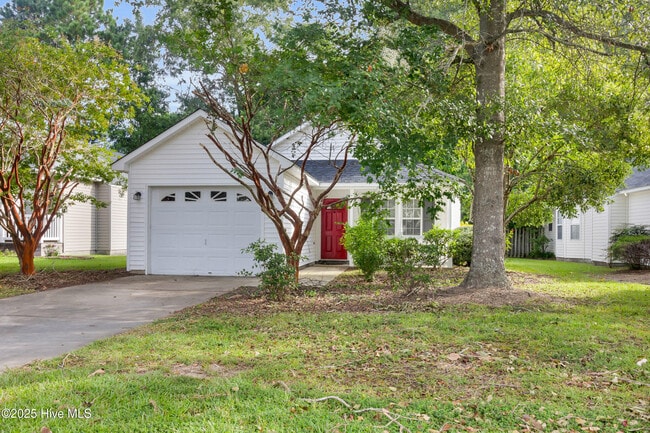 Building Photo - 205 Buckskin Dr