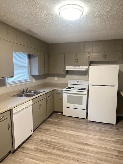 Building Photo - 4100 N Ocoee St