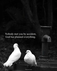 Building Photo - 4112 Eagle Cove E Dr