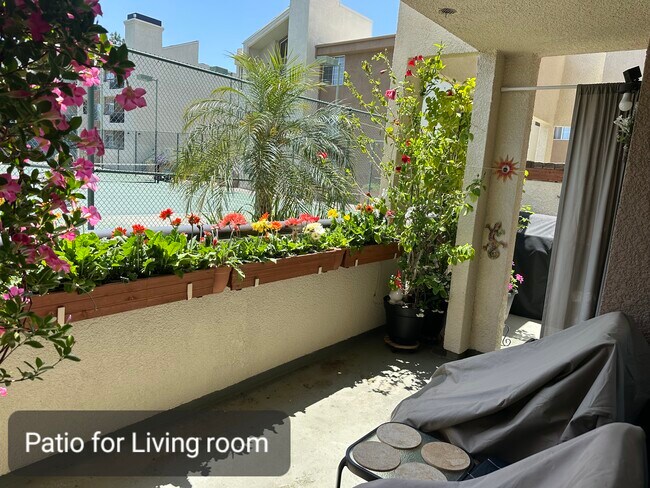 Building Photo - 5565 Canoga Ave