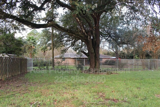 Building Photo - 2156 Seracedar St