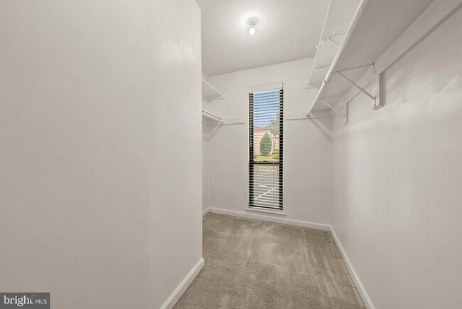 Building Photo - 2045 Royal Fern Ct