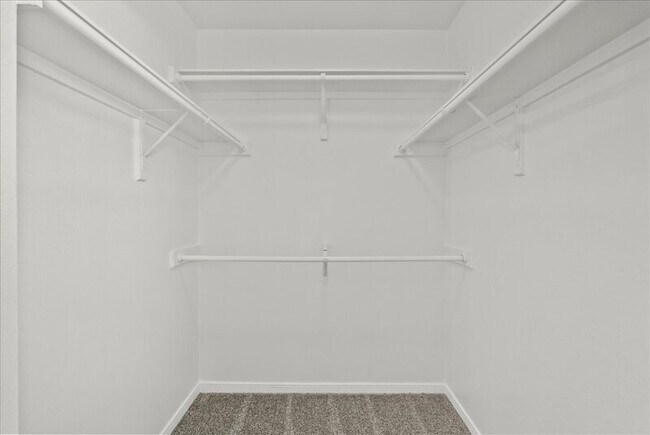 Building Photo - 5063 Akumal Calle