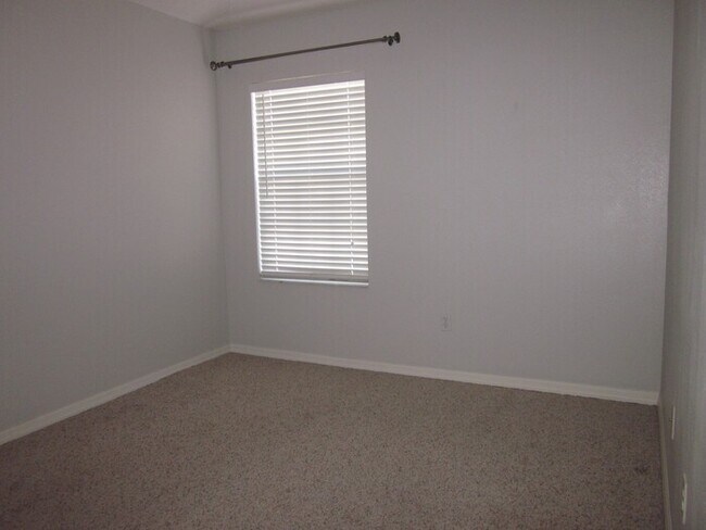 Building Photo - WESTCHASE - THE VINEYARDS