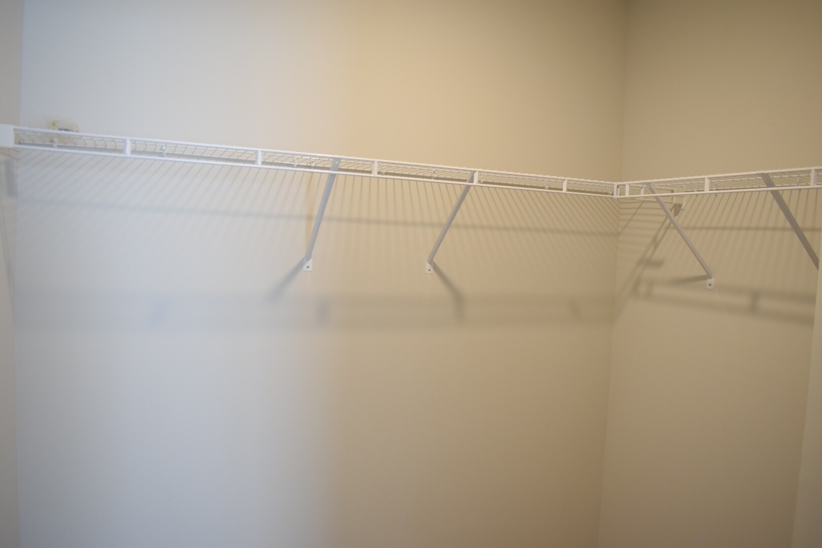 Building Photo - 1070 Clapboard Ln