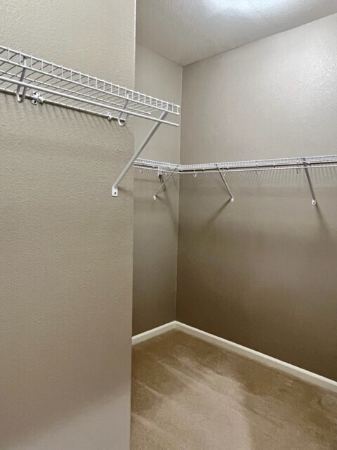 Building Photo - 2508 Tomales Bay Dr