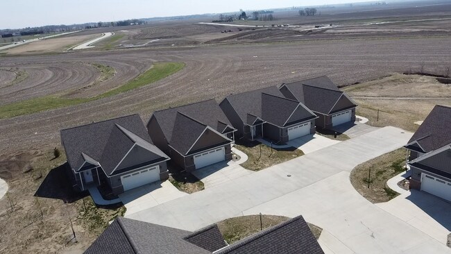 Building Photo - Reserve Mahomet 2bd/2Bath House