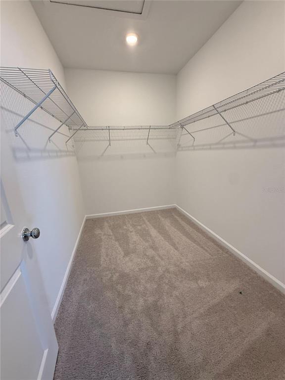 Building Photo - 2332 Rider Rain Ln