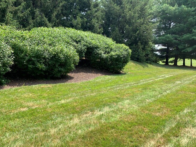 Building Photo - Spacious and Private Condo in The Oaks at ...