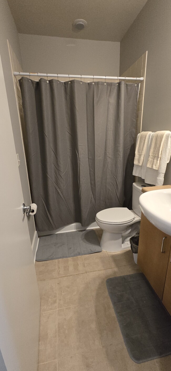 Guest bath - 439 M St