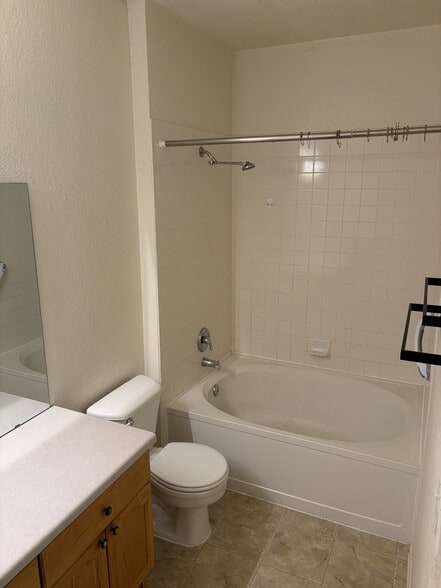 Master Bath - 14241 E 1st Dr