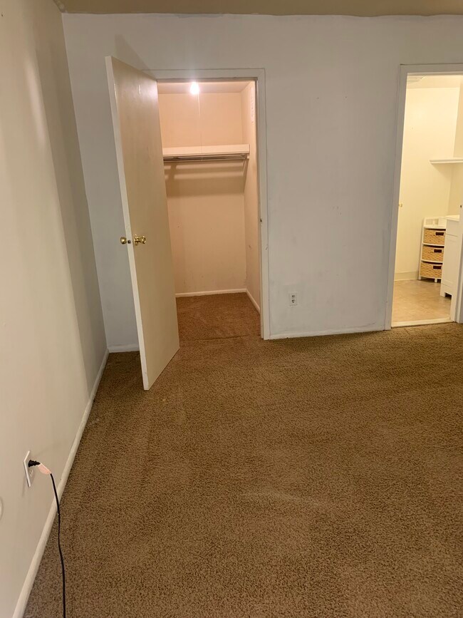 Building Photo - 4000 Gypsy Ln