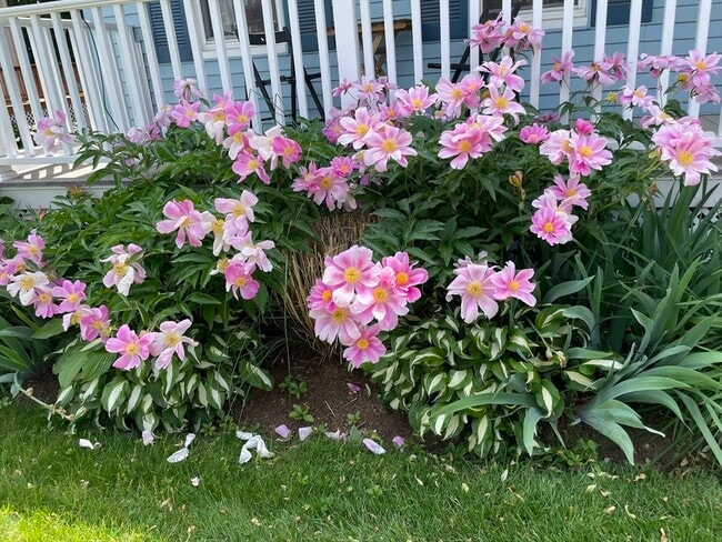 Building Photo - 18 Gould St