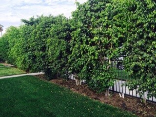 Building Photo - 263 N Florence St