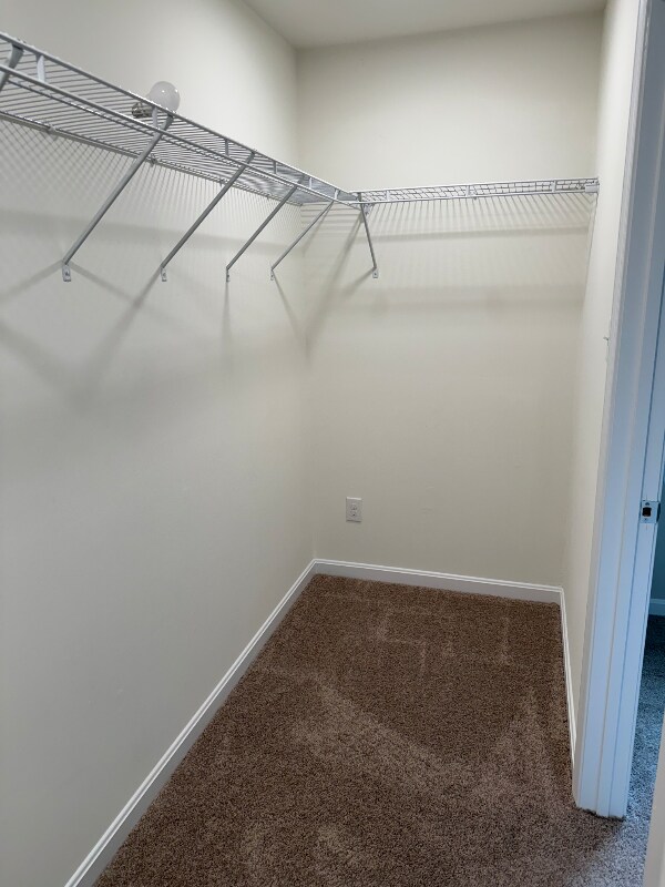 Building Photo - 2429 Crowncrest Dr