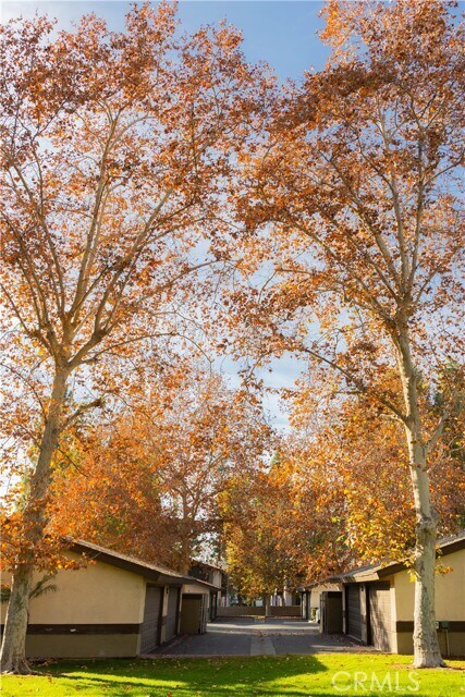 Building Photo - 1219 Edwards St