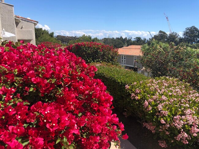 Behind the unit - 28214 Rey De Copas Ln