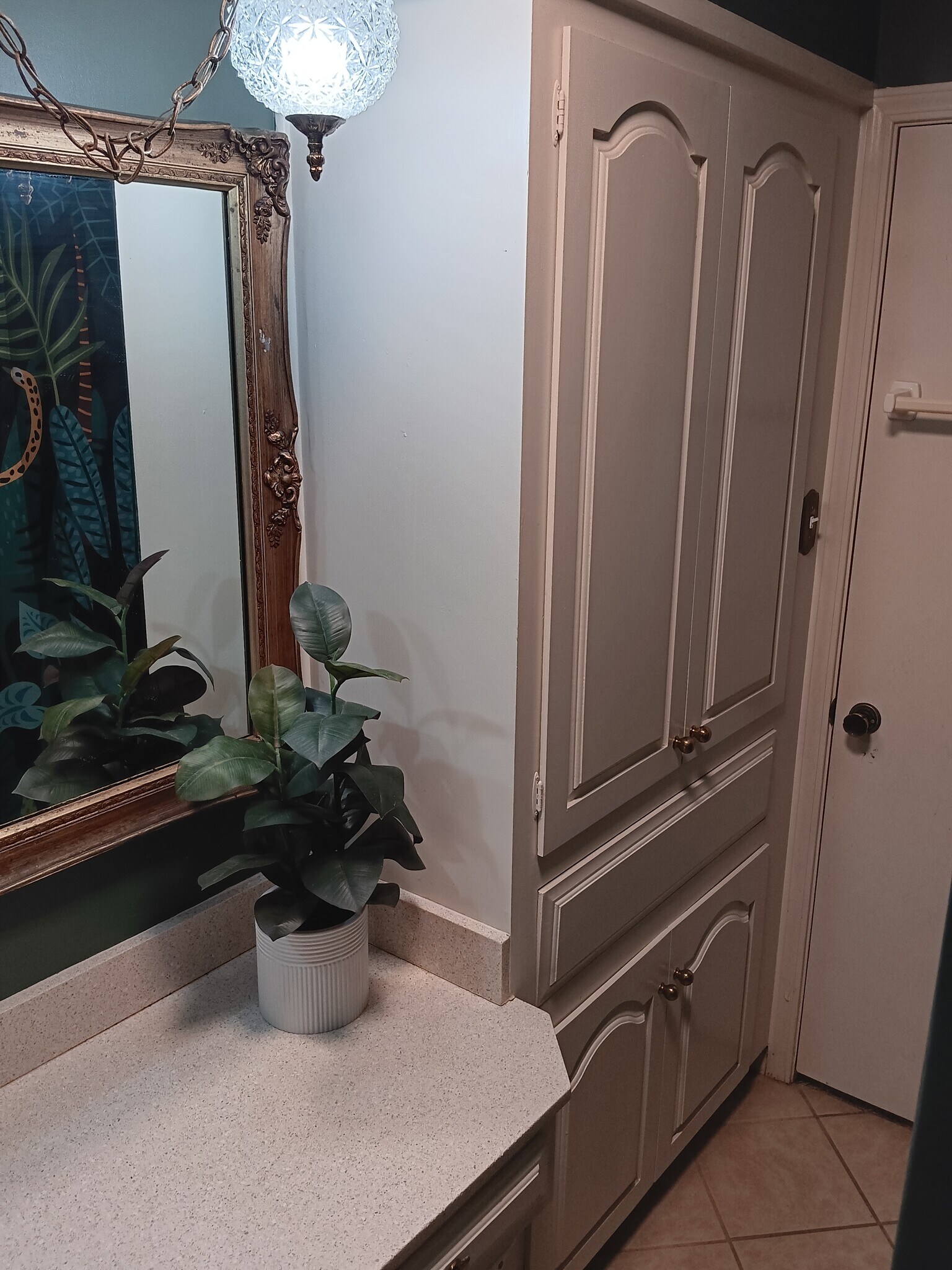 hall bathroom storage - 2308 Wesley Cir